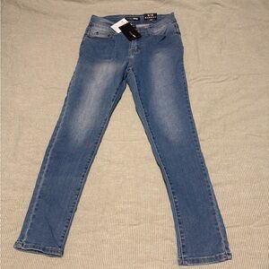 Fashion Nova Classic Blue Skinny Jeans